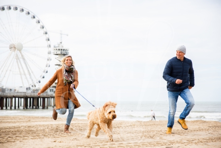 Stel rent samen over het strand met de hond op Scheveningen